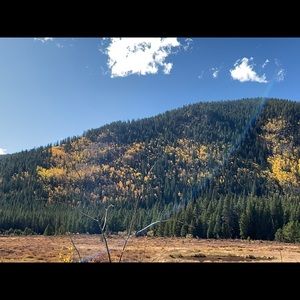 Meet your Posher, Clint